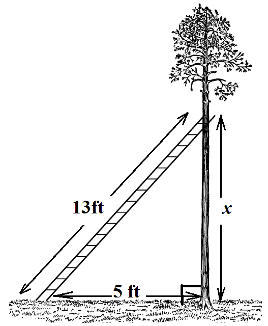 A tree and ladder are shown creating a triangle. The ladder runs diagonally from the ground to the tree and measures 13 feet. The ground from the ladder to the tree measures 5 feet. The height of the tree from the ground to the ladder is x feet.
